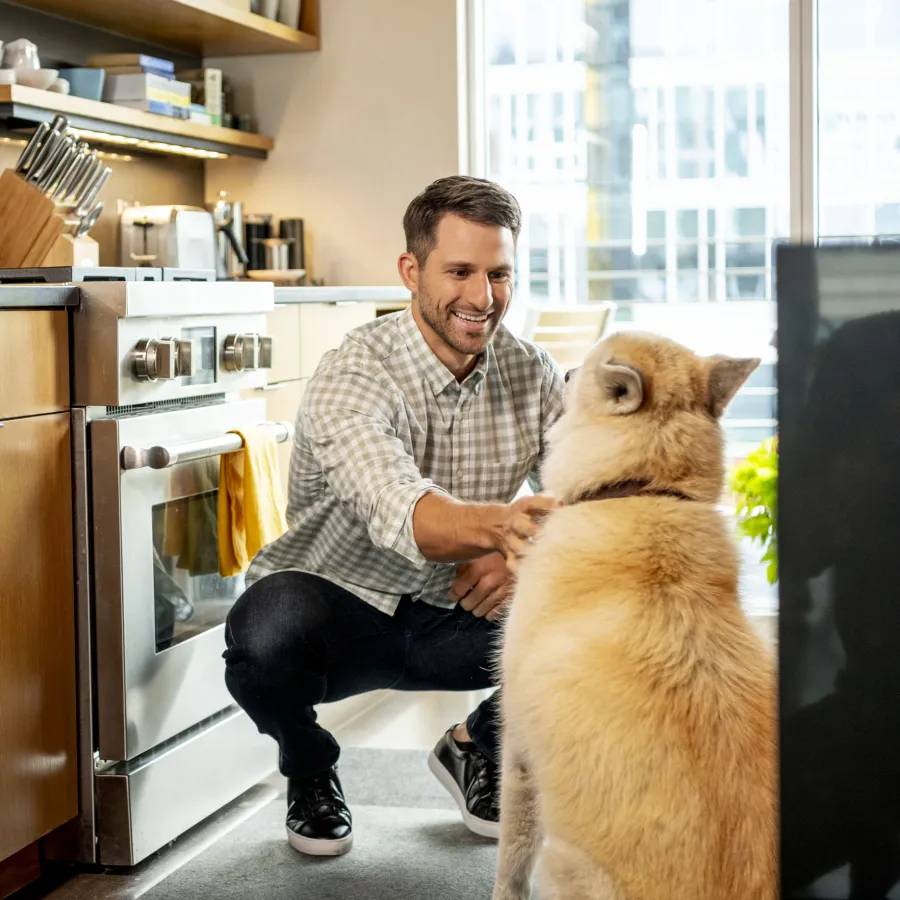A man working from home, petting his dog