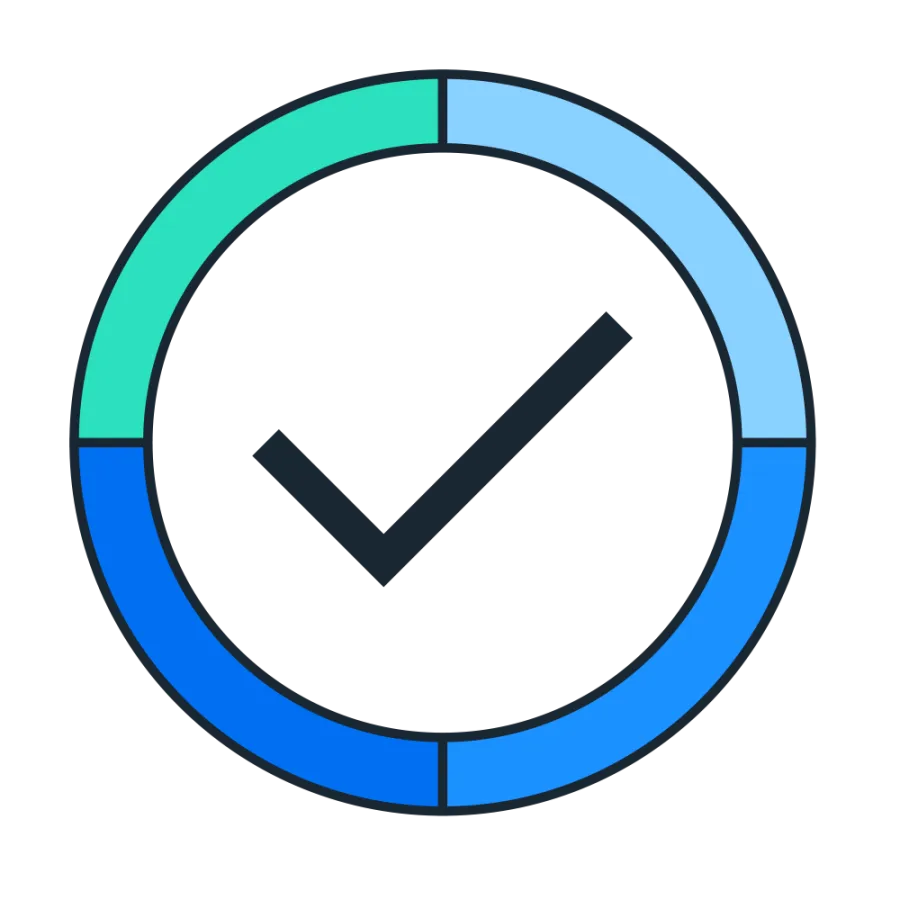 check accuracy icon