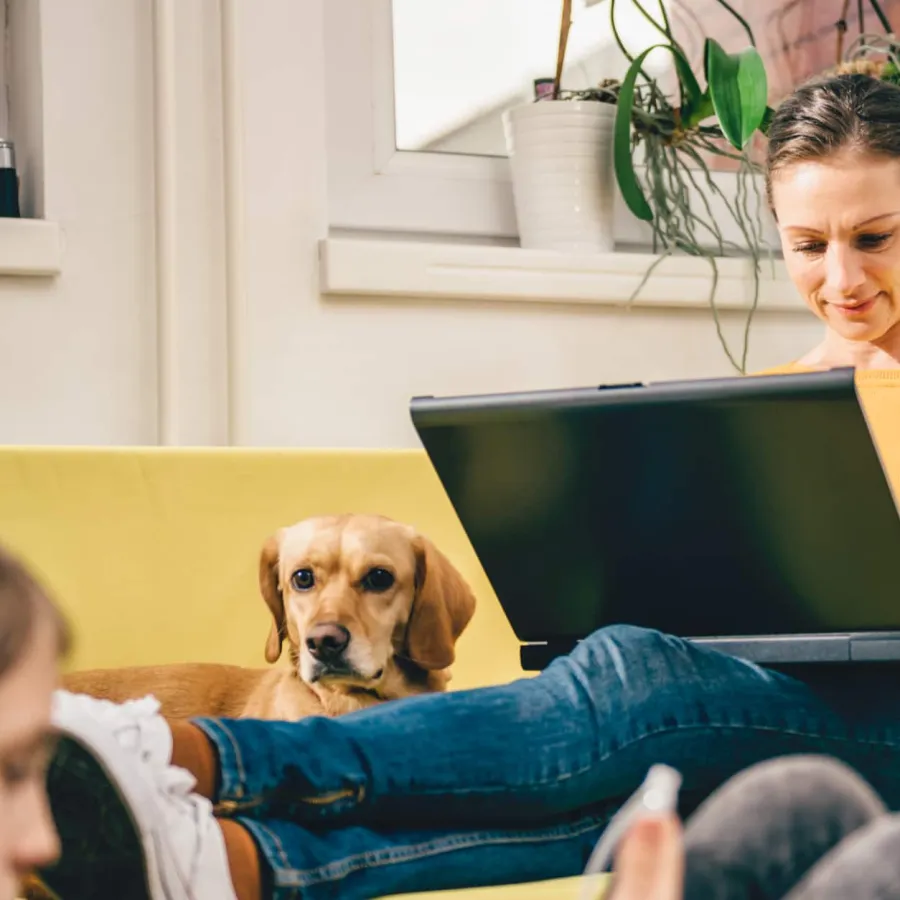 7 Tips to Manage Productivity When Navigating the New Challenges of Working from Home